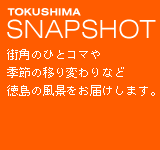 TOKUSHIMA SNAPSHOT matigado 